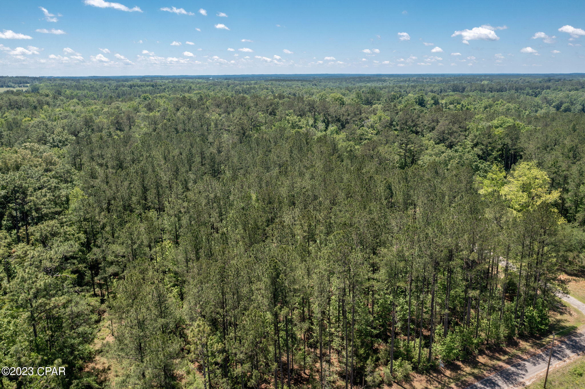 0 Pitts Road Chipley, FL 32428 - Photo 8 of 19