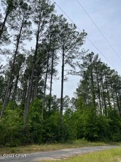 0 Pitts Road Chipley, FL 32428 - Photo 10 of 19