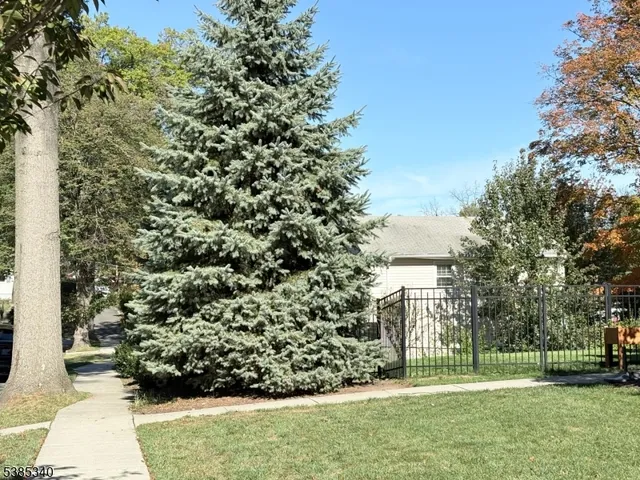 a view of a park with large trees