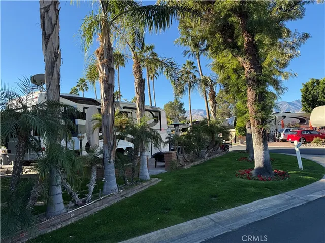 a view of a park with a tree
