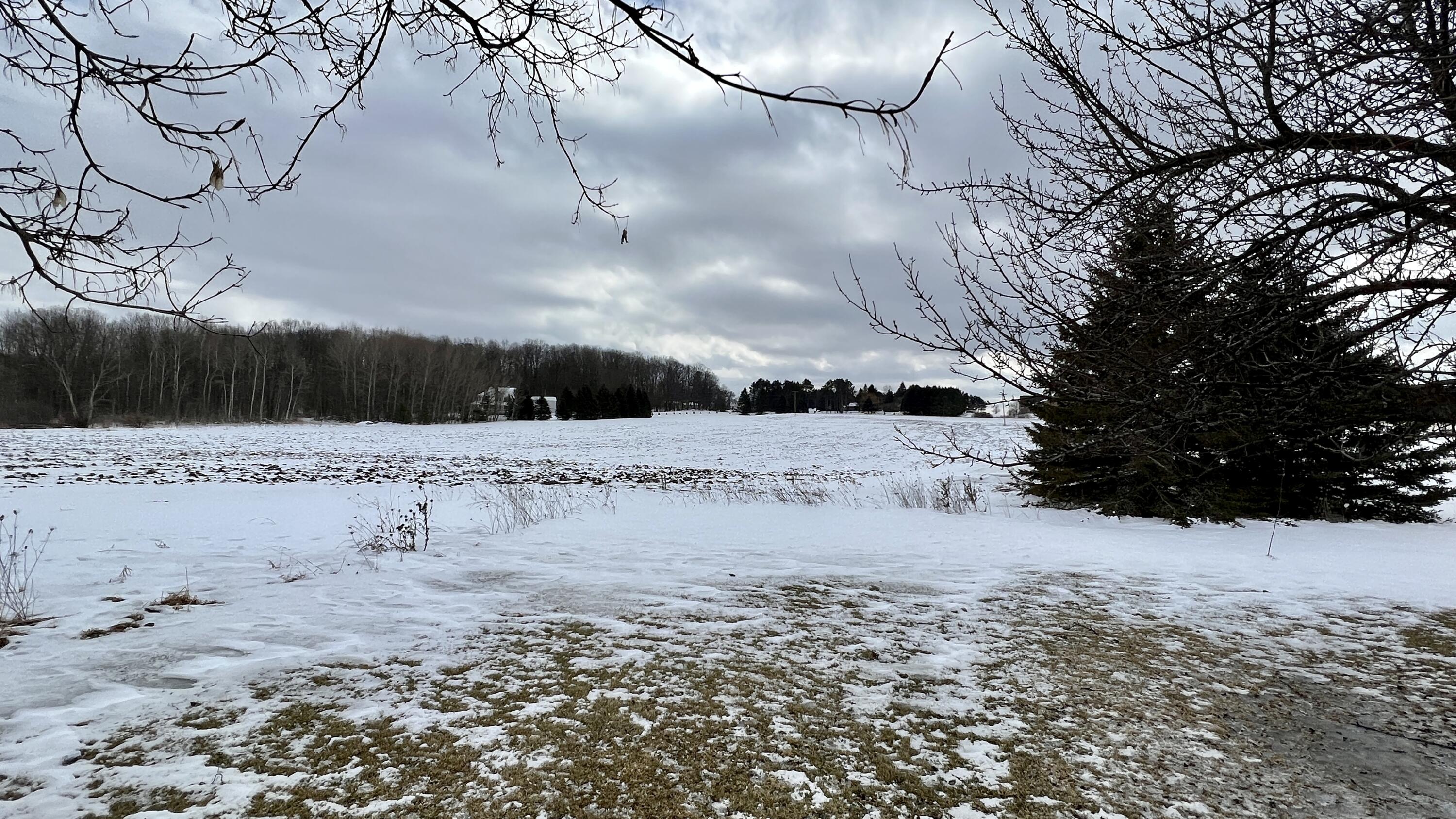 8045 South 39 Road Cadillac, MI 49601 - Photo 46 of 52 Greg Bosscher (47)