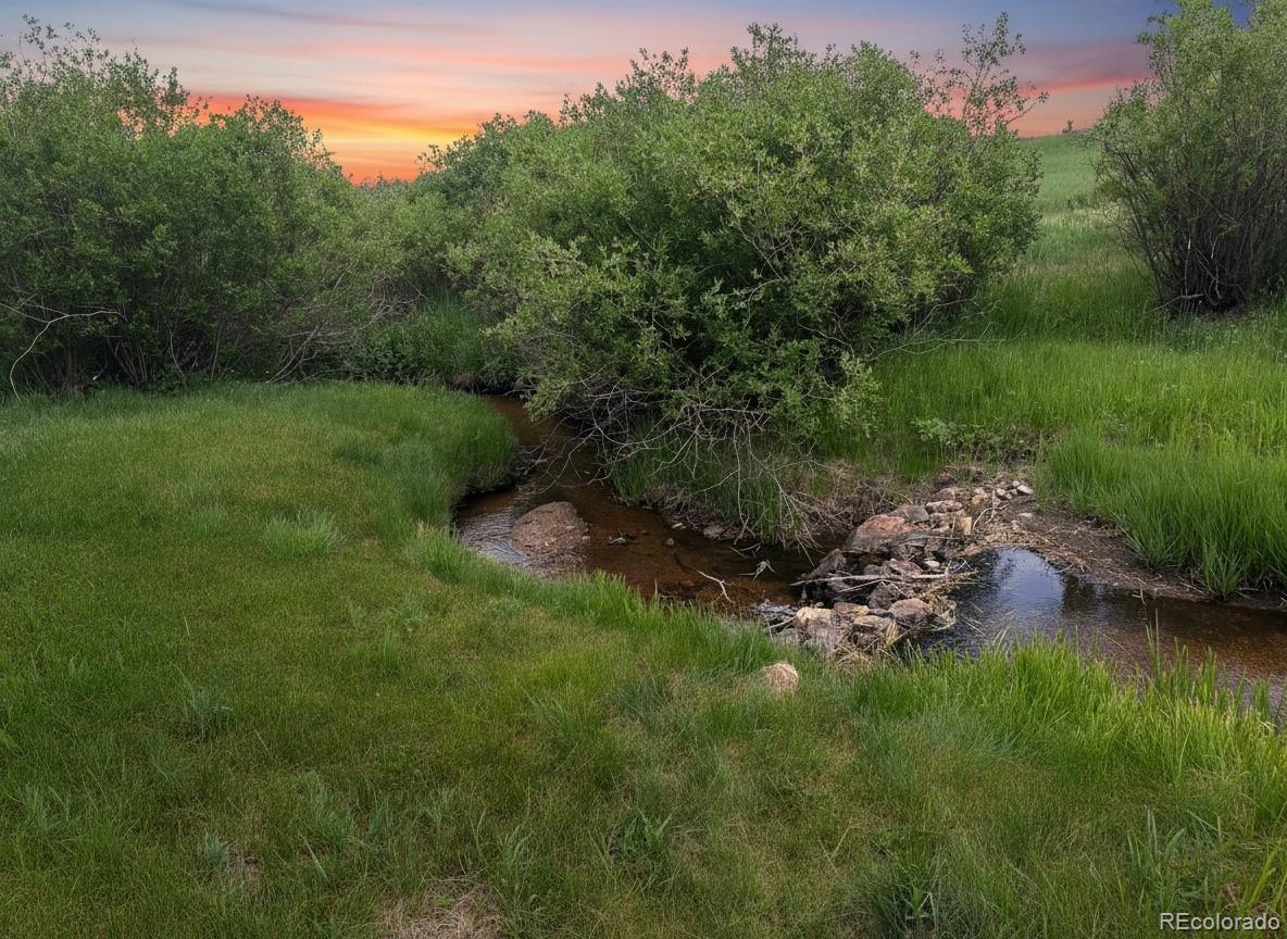 606 Nellie Road Bailey, CO 80421 - Photo 3 of 12