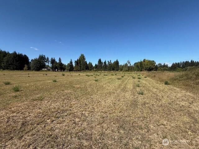 127 Anglers Lane Chehalis, WA 98532 - Photo 2 of 5