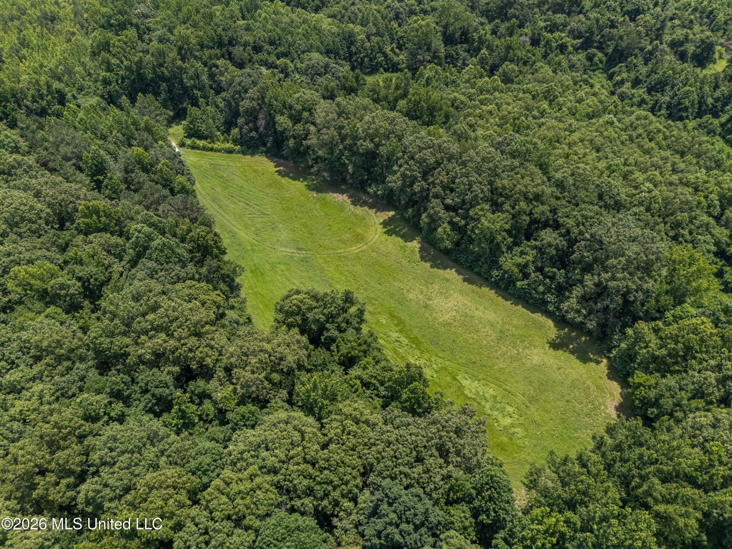 0 Freeman Drive Coldwater, MS 38618 - Photo 9 of 15 dji_20260701124522_0099_d_print