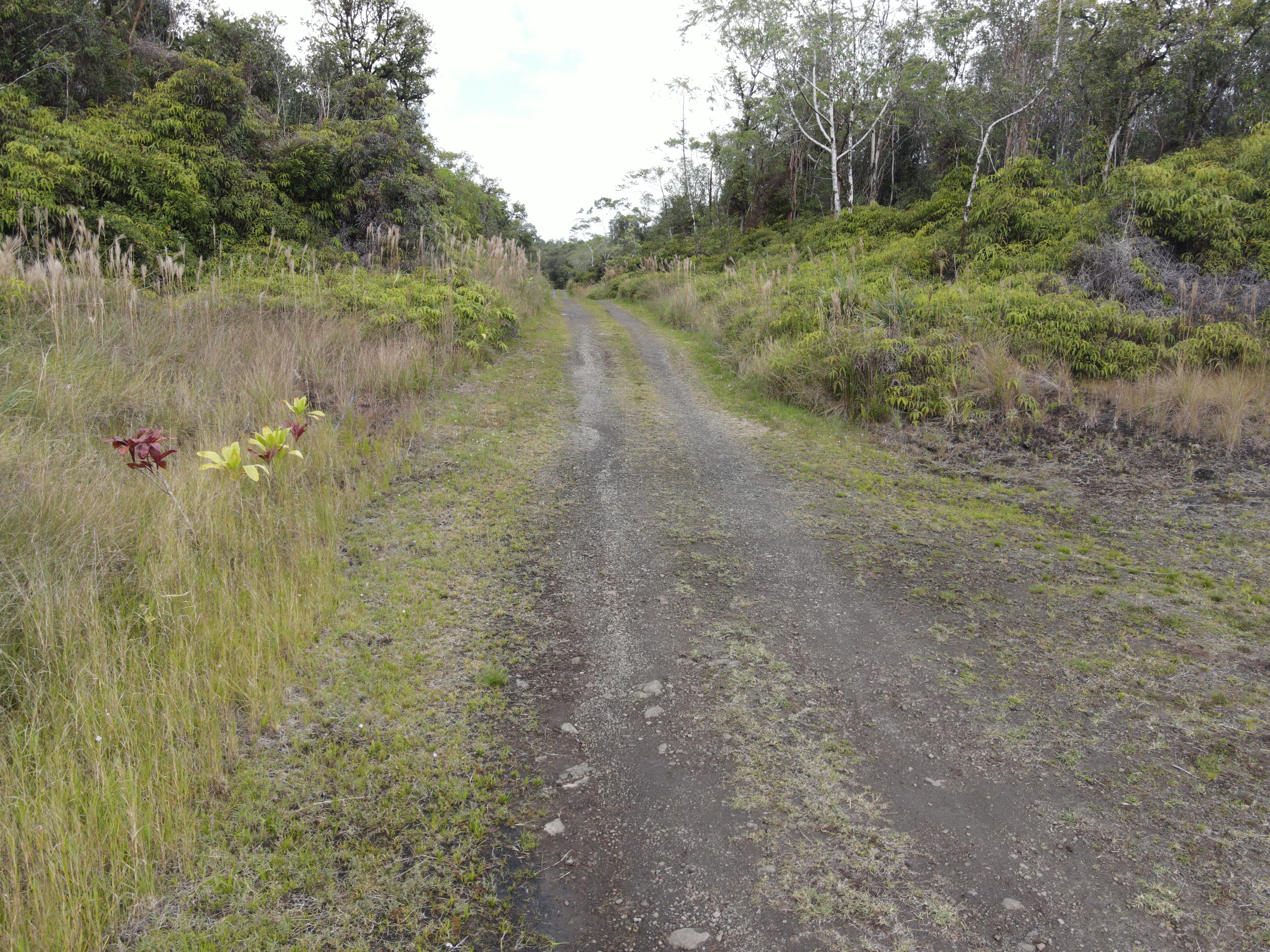 12 B Ihope Road Mountain View, HI 96771 - Photo 4 of 5