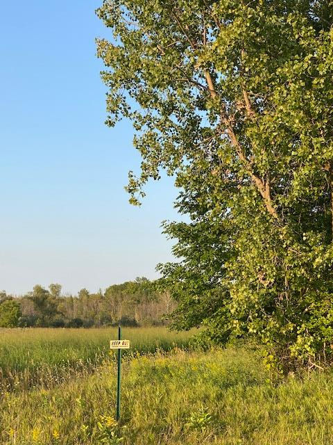 Tbd Tbd Gravel Pit Road Brussels, WI 54204 - Photo 1 of 32