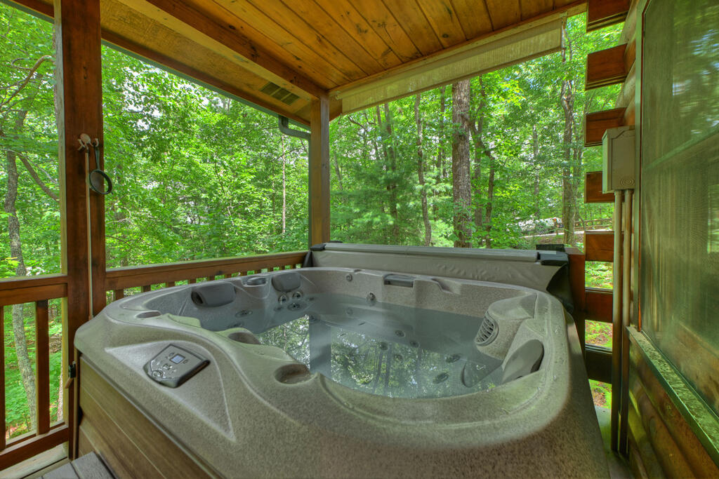 9 Casey Court Blue Ridge, GA 30513 - Photo 19 of 52 Gallery Image 19