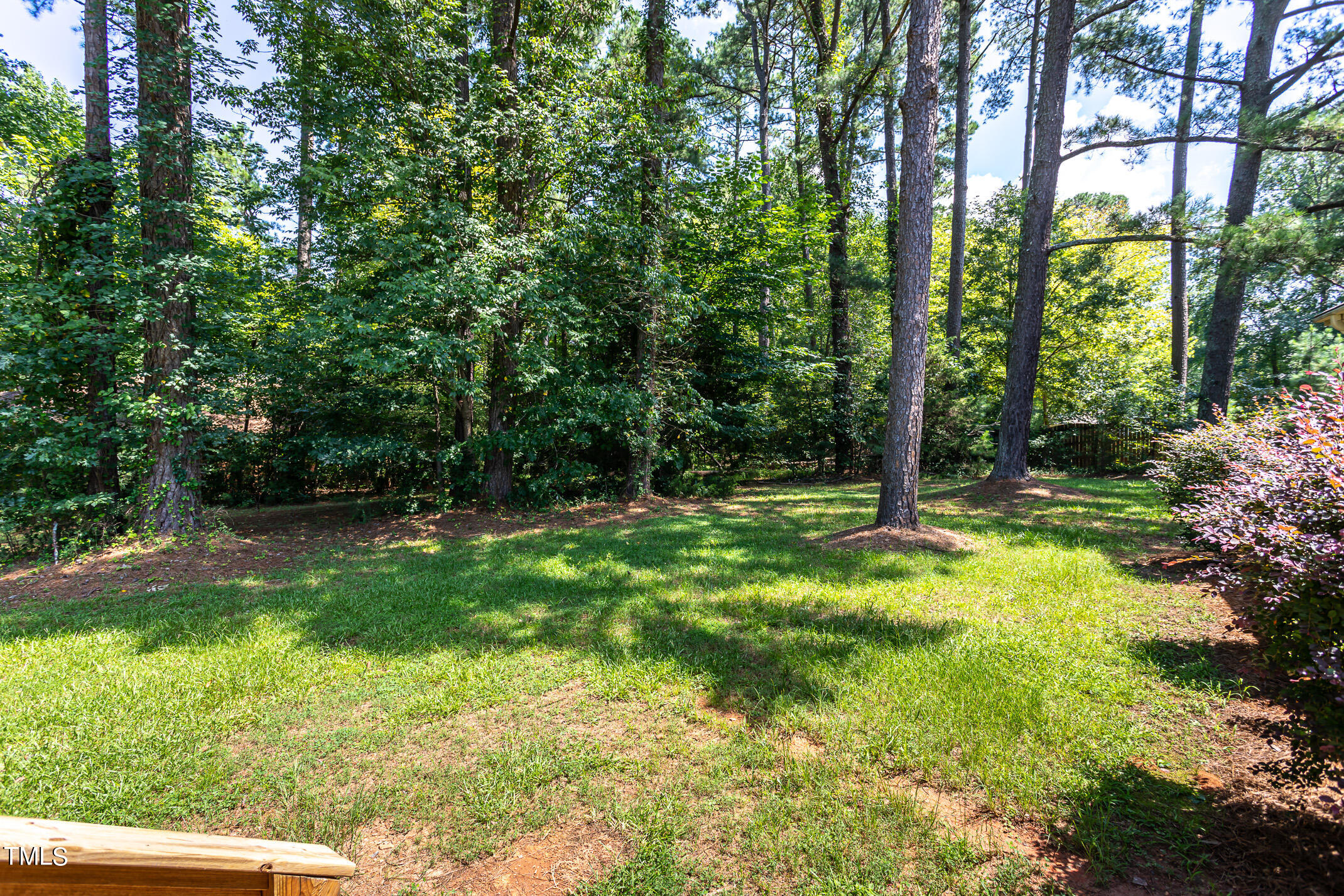 1717 Bayleaf Trail Raleigh, NC 27614 - Photo 5 of 35 a view of backyard with green space