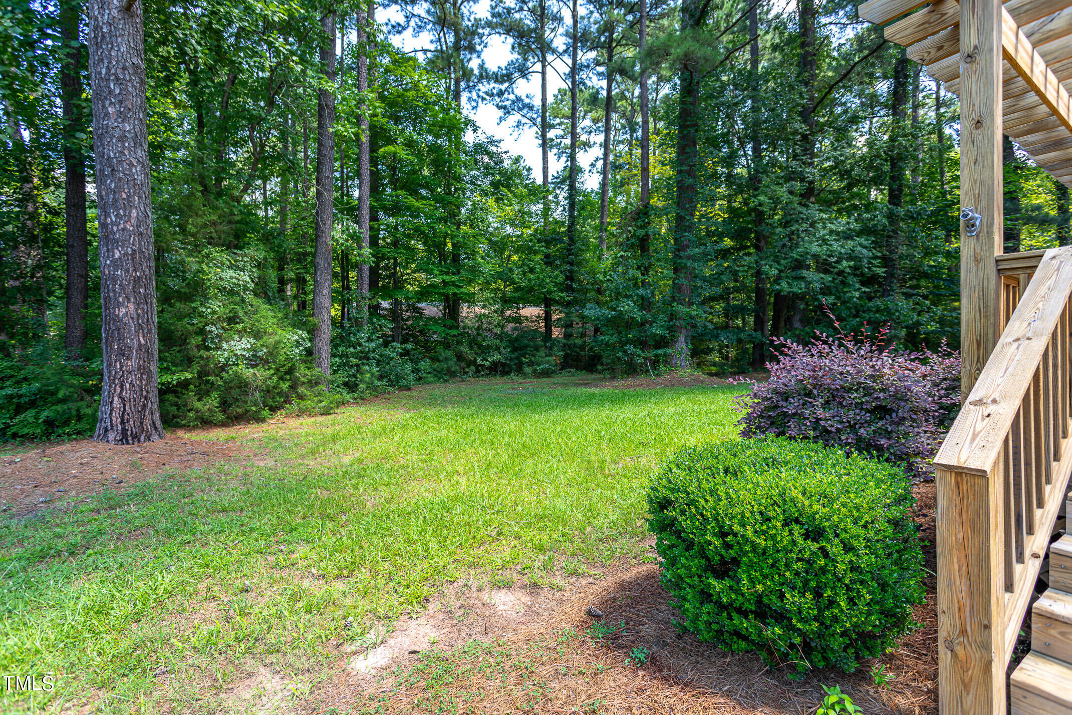1717 Bayleaf Trail Raleigh, NC 27614 - Photo 6 of 35 a view of a backyard with large trees