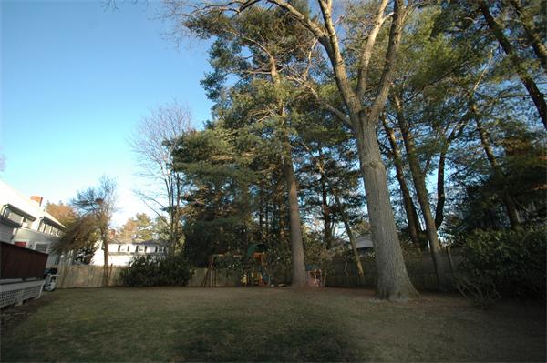 65 Ridge Road Milton, MA 02186 - Photo 16 of 18 Gallery Image 16