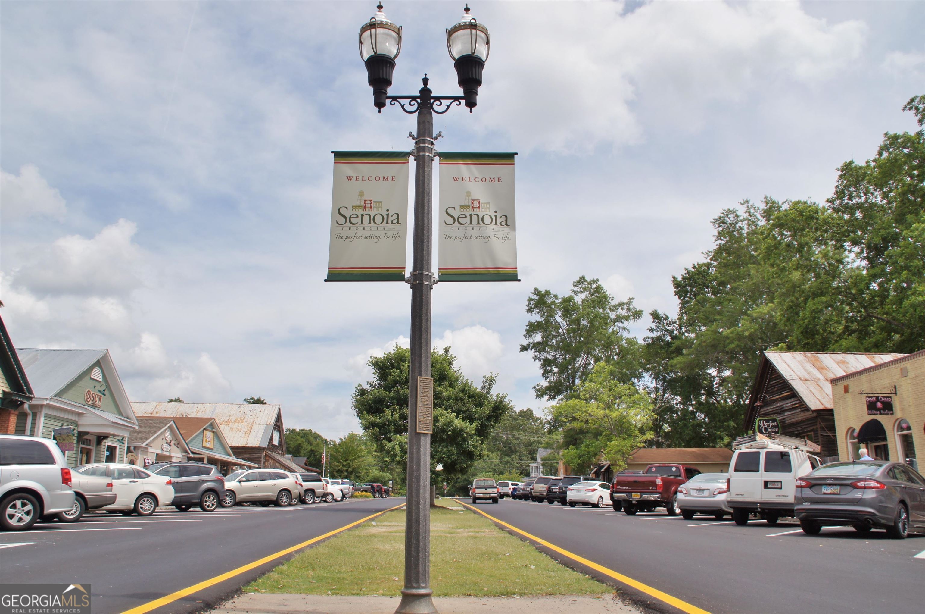 355 Werner Way Senoia, GA 30276 - Photo 115 of 118 a cars parked on the side of a street