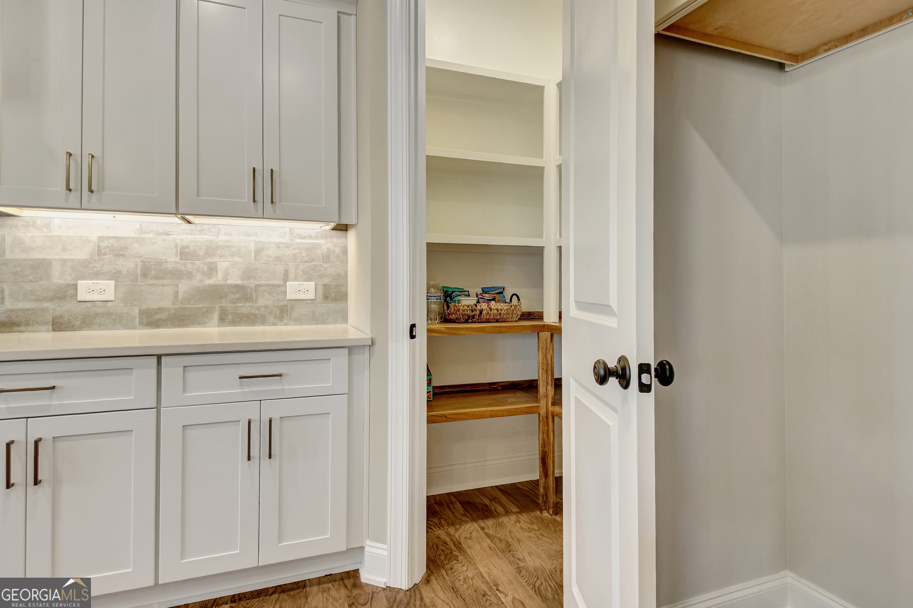 355 Werner Way Senoia, GA 30276 - Photo 27 of 118 a view of walk in closet with empty racks