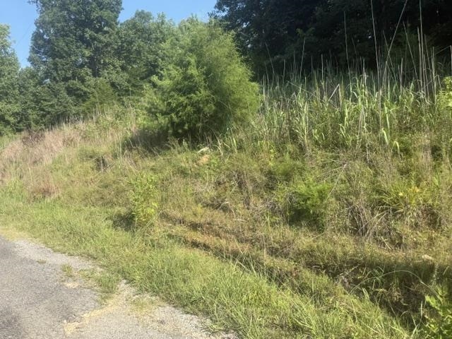 3 Carroll Hollow Road Waynesboro, TN 38485 - Photo 3 of 25 Gallery Image 3