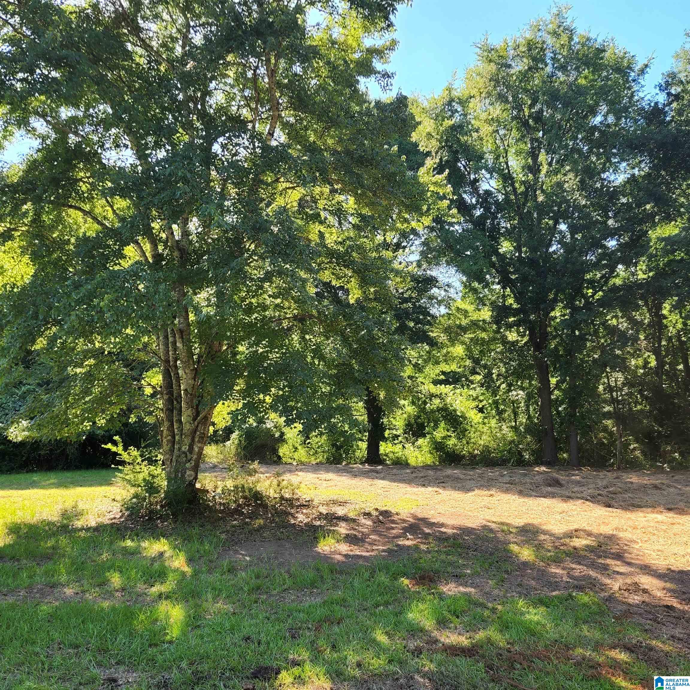 2501 Cahaba Valley Road Pelham, AL 35124 - Photo 19 of 25