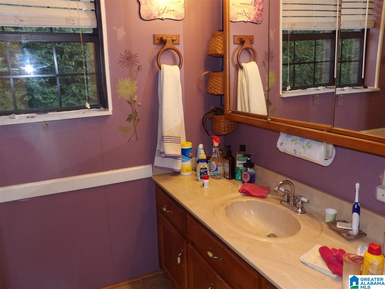 275 Forest Bend Road Piedmont, AL 36272 - Photo 36 of 39