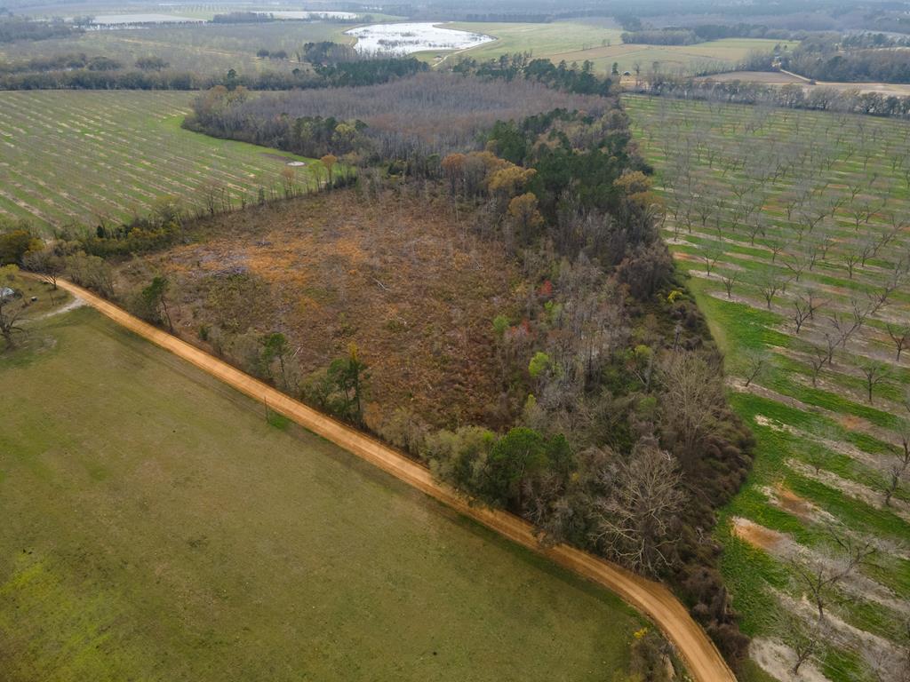 22-acres Davis Road Southwest Valdosta, GA 31601 - Photo 4 of 12 Gallery Image 4