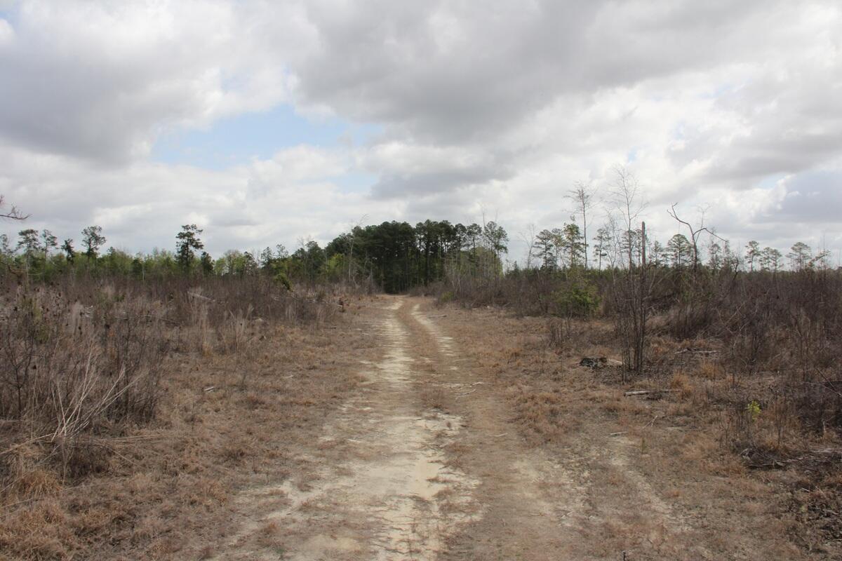 0 Ponderosa Road St. Matthews, SC 29135 - Photo 3 of 7 IMG_9907