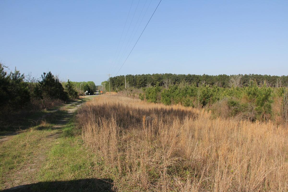 0 Ponderosa Road St. Matthews, SC 29135 - Photo 4 of 7 IMG_9853