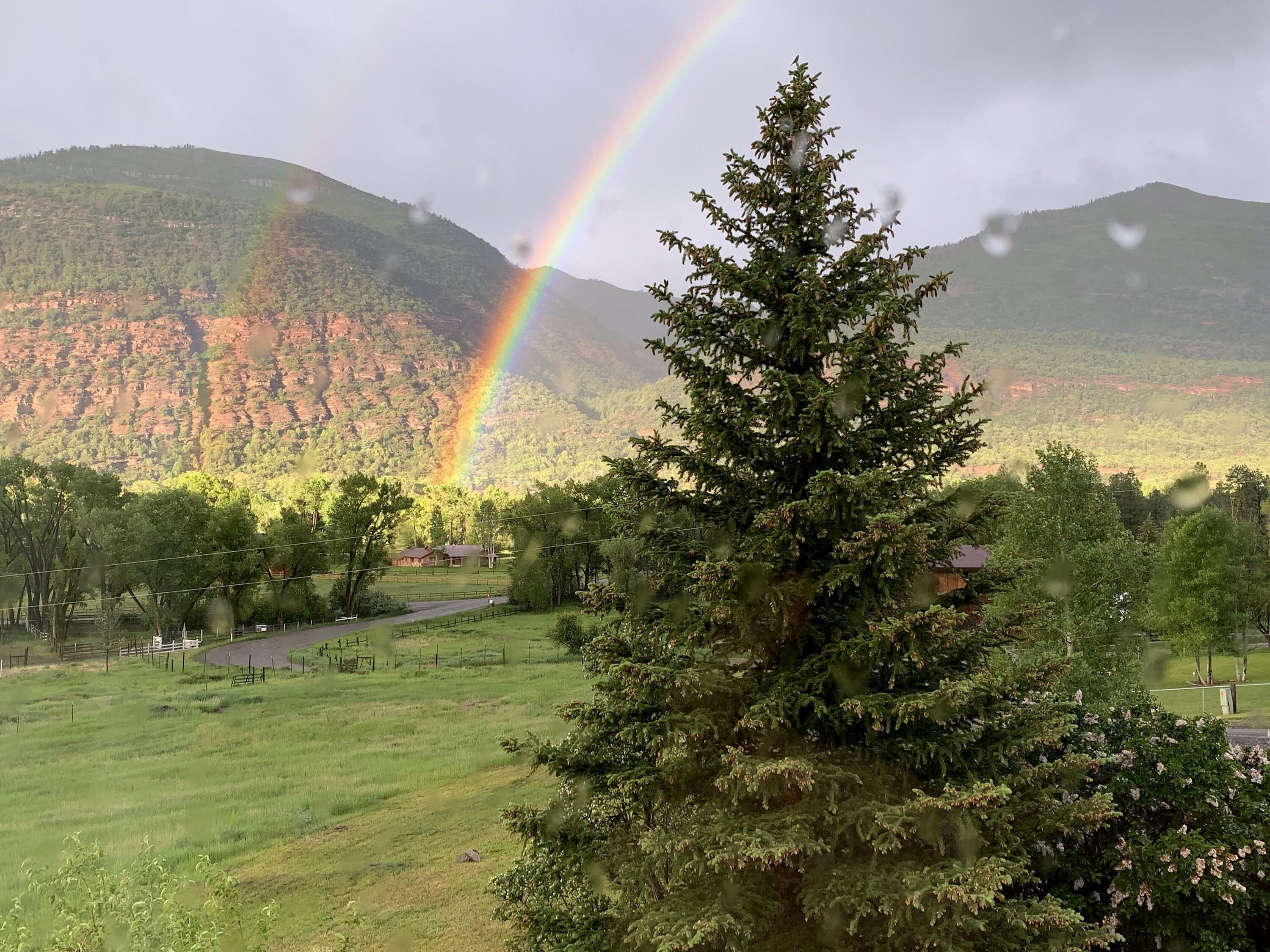 333 Marys Road Ridgway, CO 81432 - Photo 28 of 41 072-333-marys-road-colorado-mountain-hom