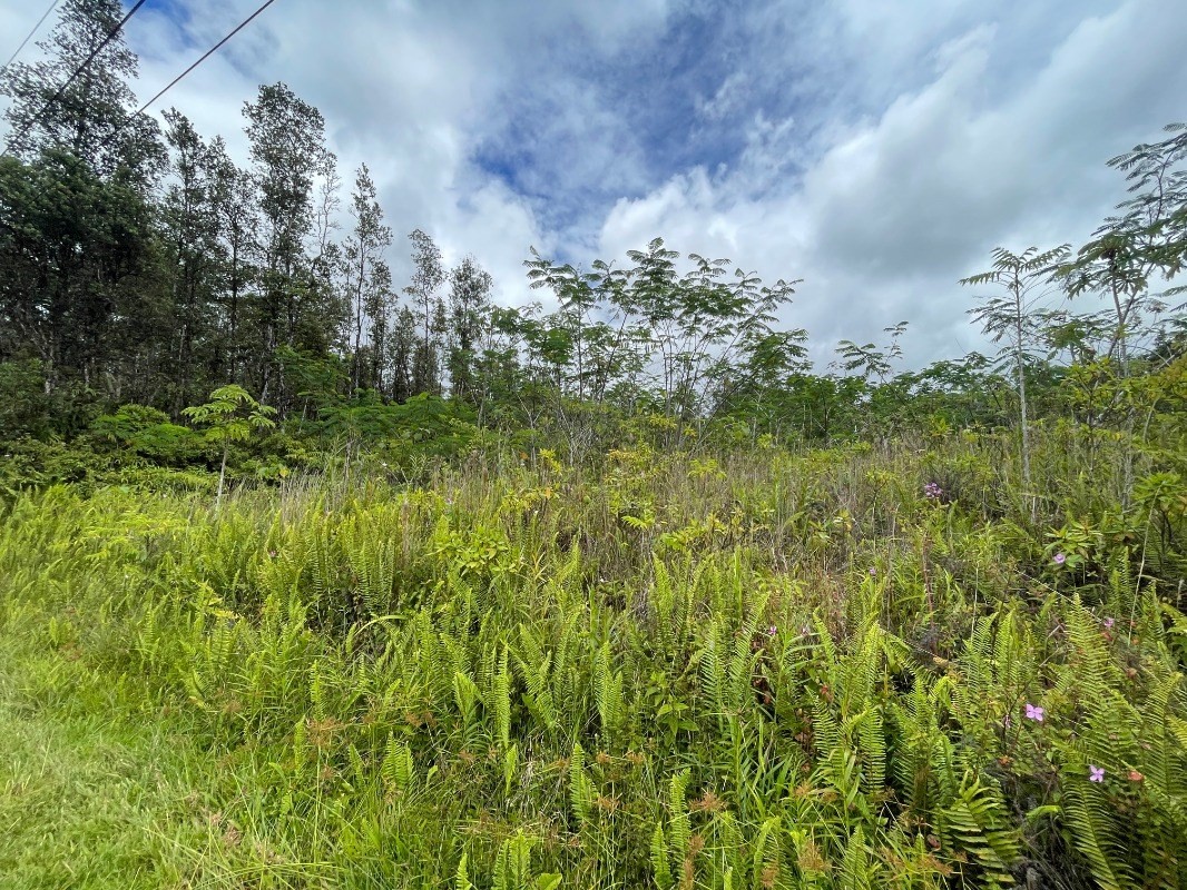 901 Shell Road Pahoa, HI 96778 - Photo 1 of 3 Gallery Image 1