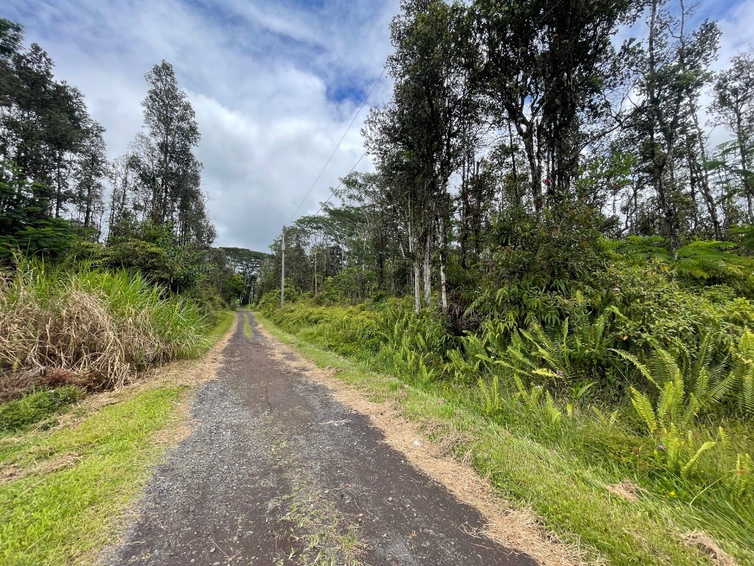 901 Shell Road Pahoa, HI 96778 - Photo 2 of 3 Gallery Image 2