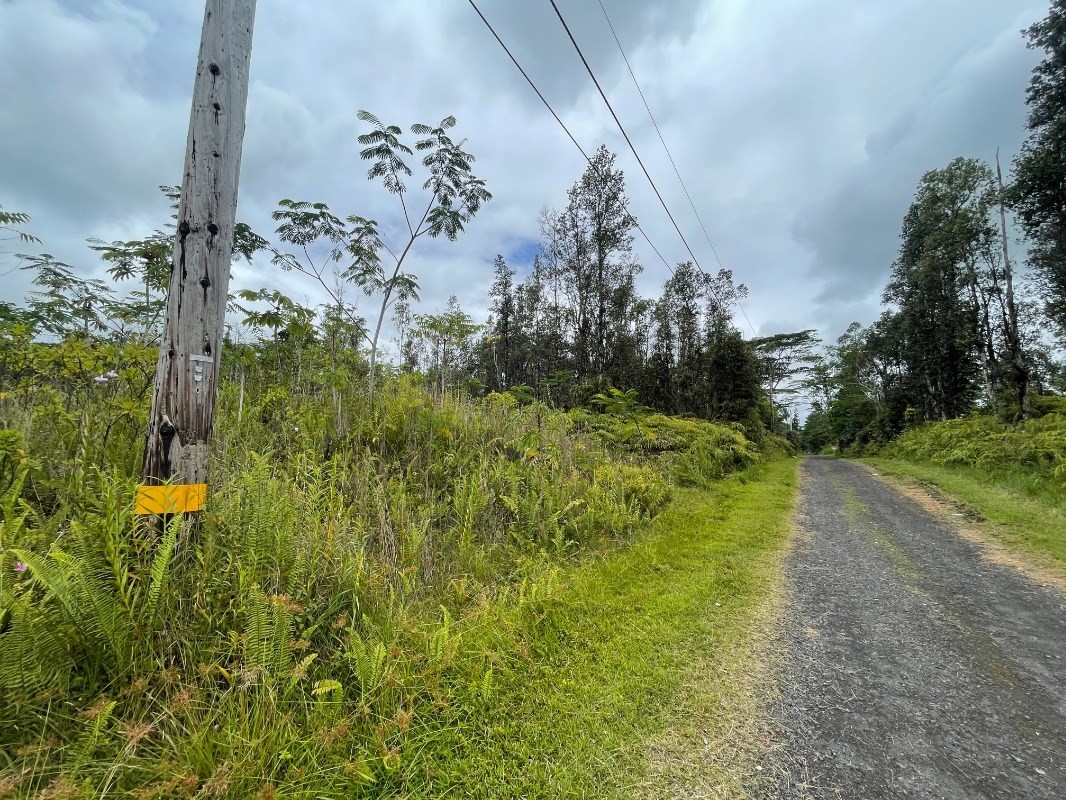 901 Shell Road Pahoa, HI 96778 - Photo 3 of 3 Gallery Image 3