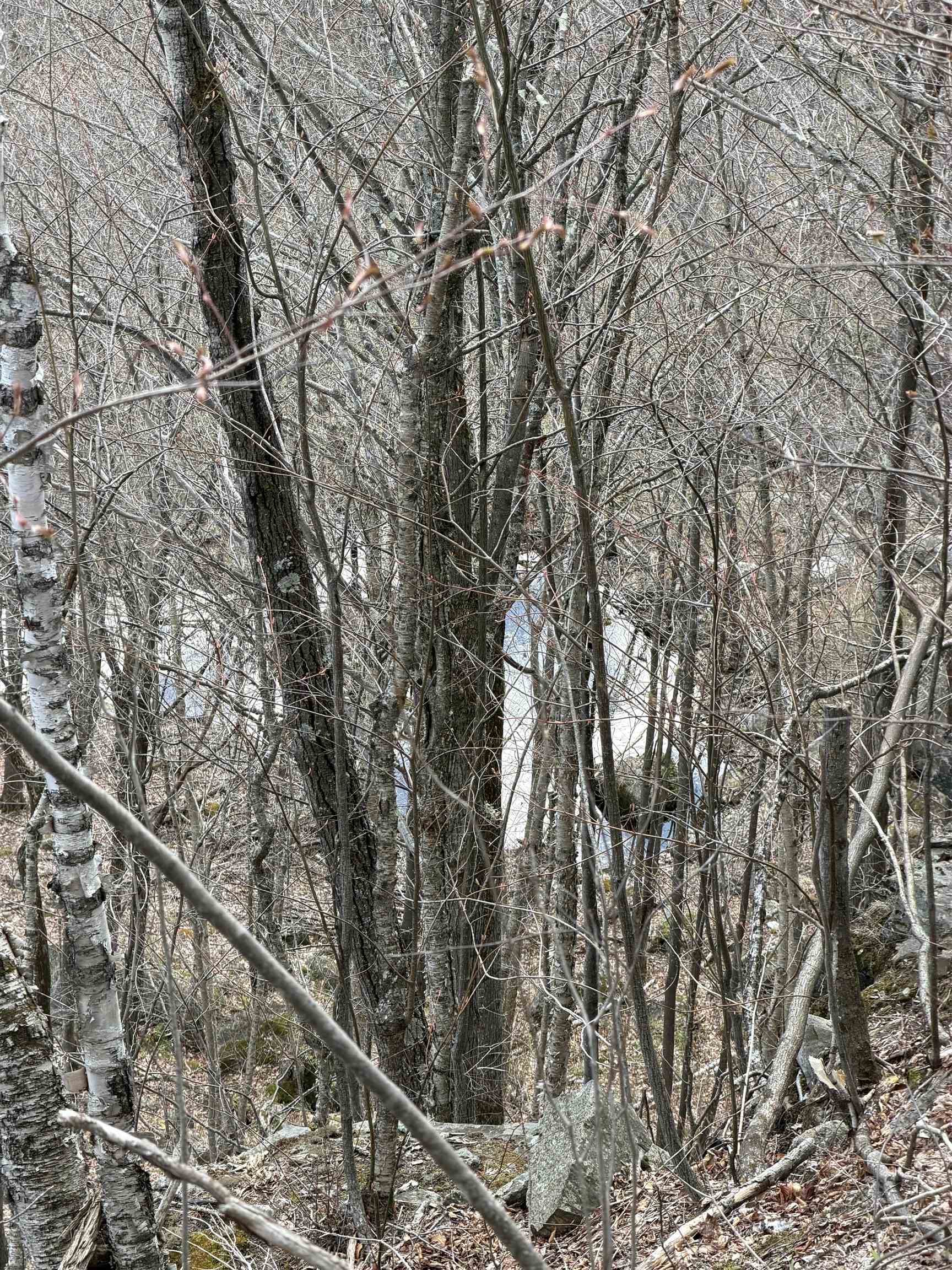 493 Wheeler Mountain Road Barton, VT 05822 - Photo 22 of 34