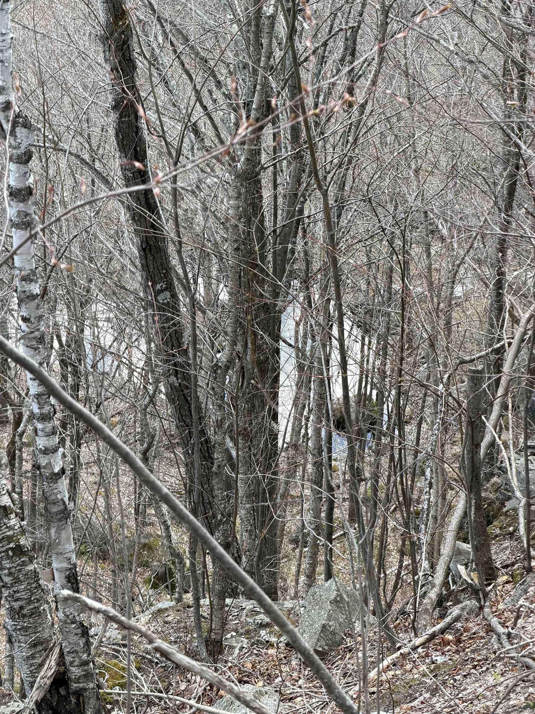 493 Wheeler Mountain Road Barton, VT 05822 - Photo 23 of 34
