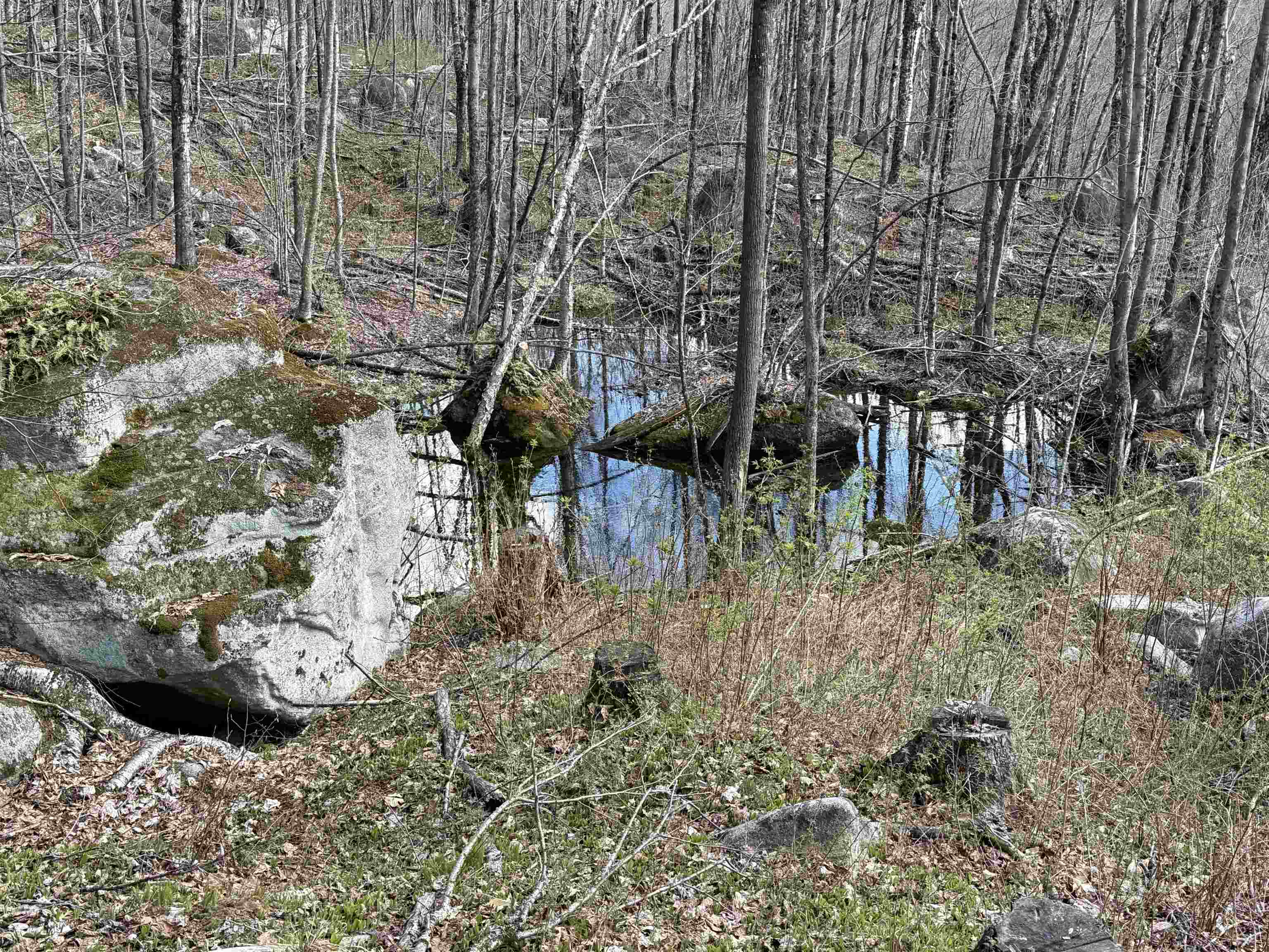 493 Wheeler Mountain Road Barton, VT 05822 - Photo 27 of 34