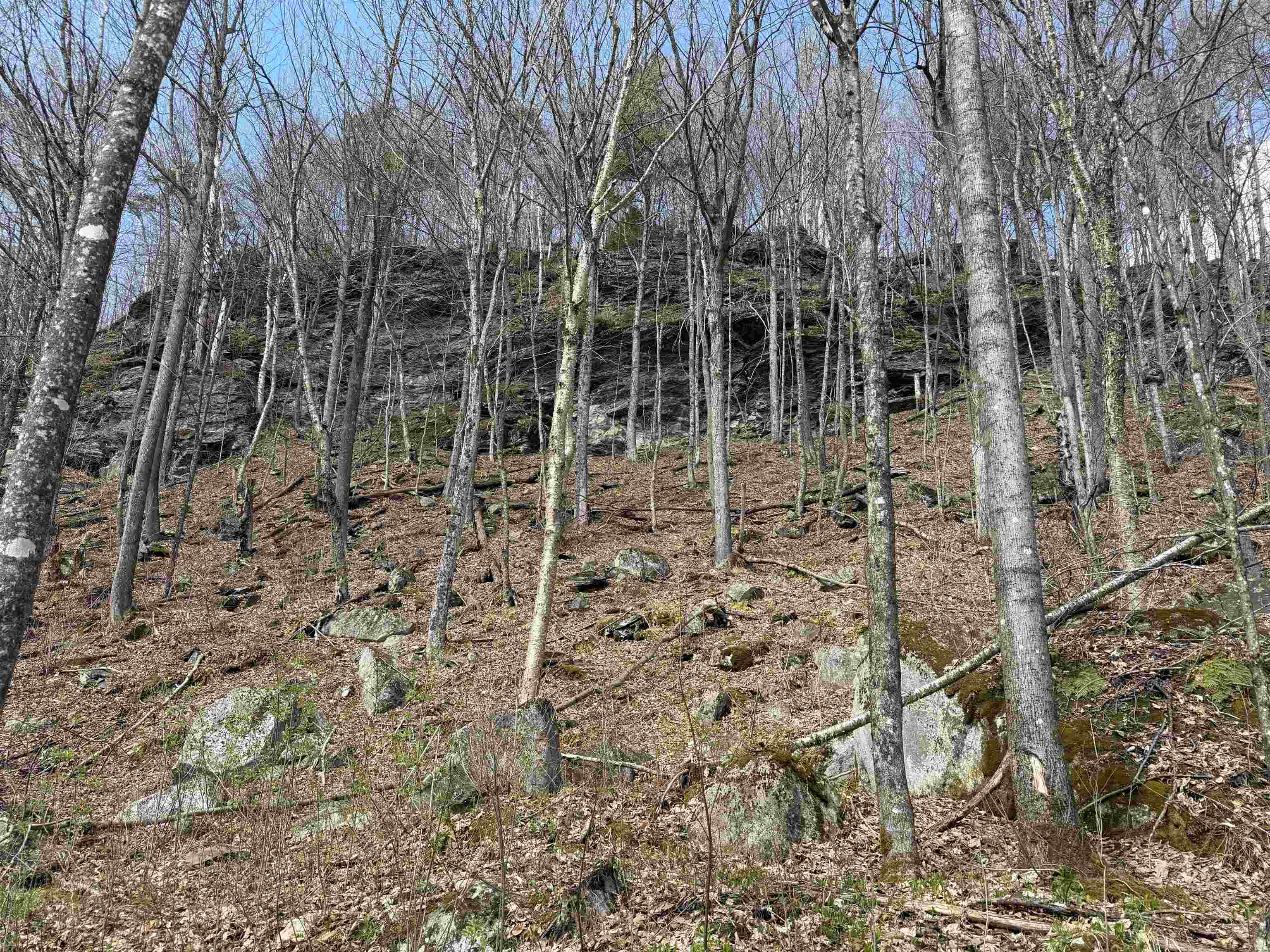 493 Wheeler Mountain Road Barton, VT 05822 - Photo 33 of 34