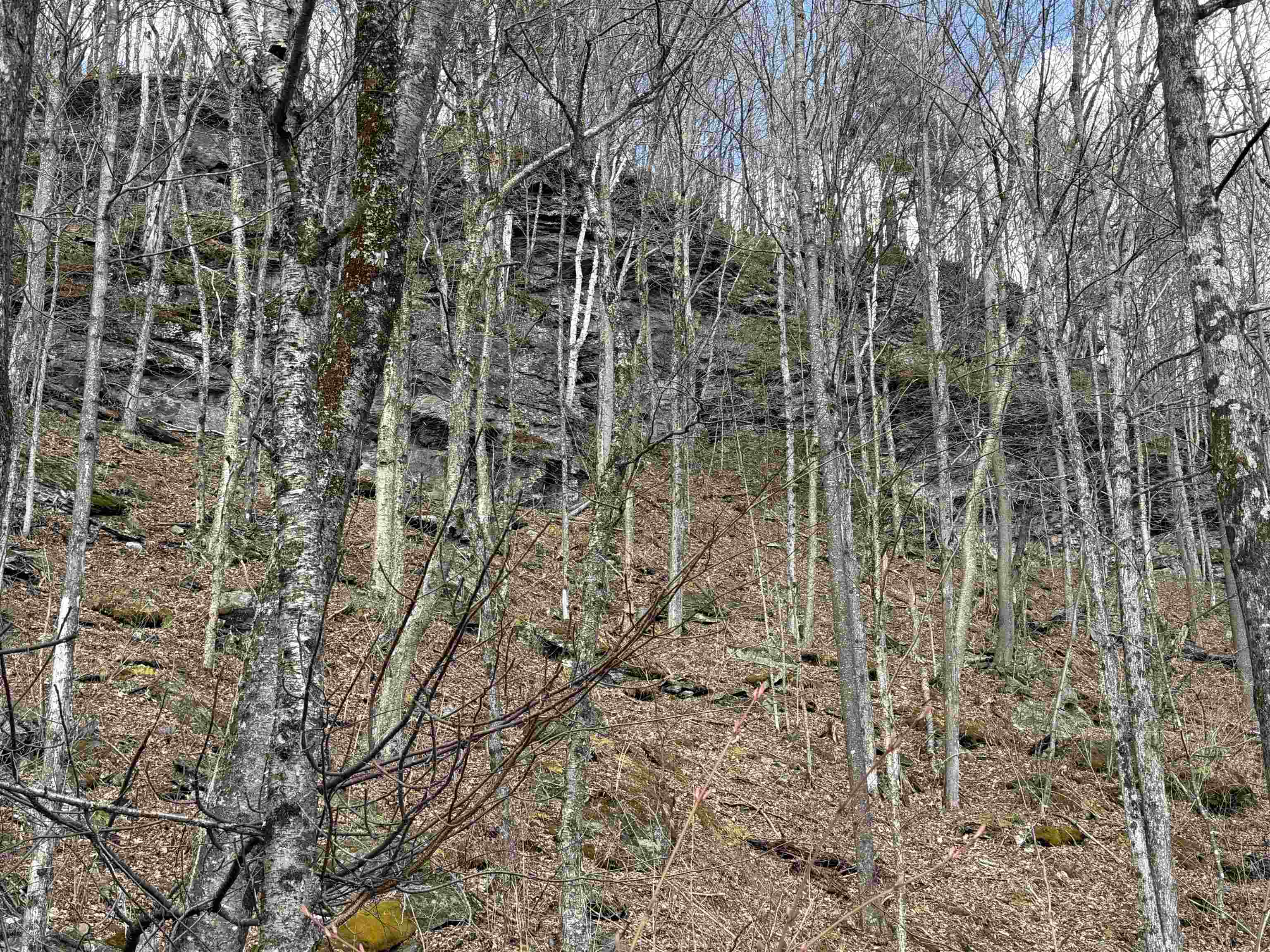 493 Wheeler Mountain Road Barton, VT 05822 - Photo 4 of 34