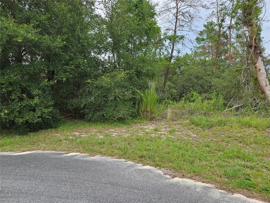 0 Southwest 46th Circle Ocala, FL 34472 - Photo 5 of 6