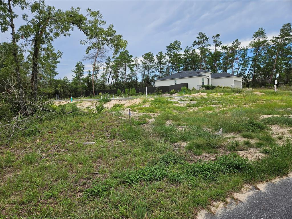 0 Southwest 46th Circle Ocala, FL 34472 - Photo 6 of 6