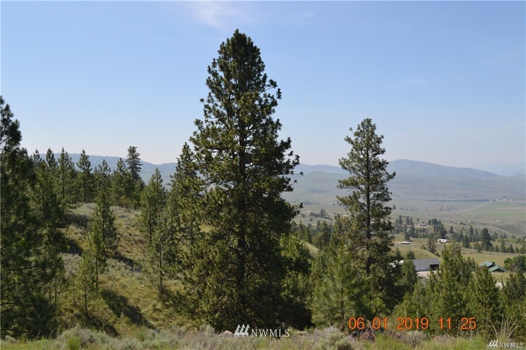 838 Havillah Road Tonasket, WA 98855 - Photo 13 of 16 Gallery Image 13