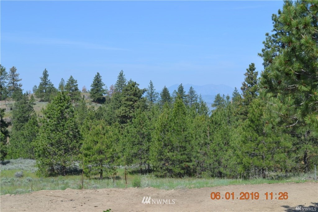 838 Havillah Road Tonasket, WA 98855 - Photo 14 of 16 Gallery Image 14