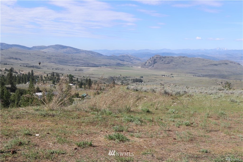838 Havillah Road Tonasket, WA 98855 - Photo 10 of 16 Gallery Image 10