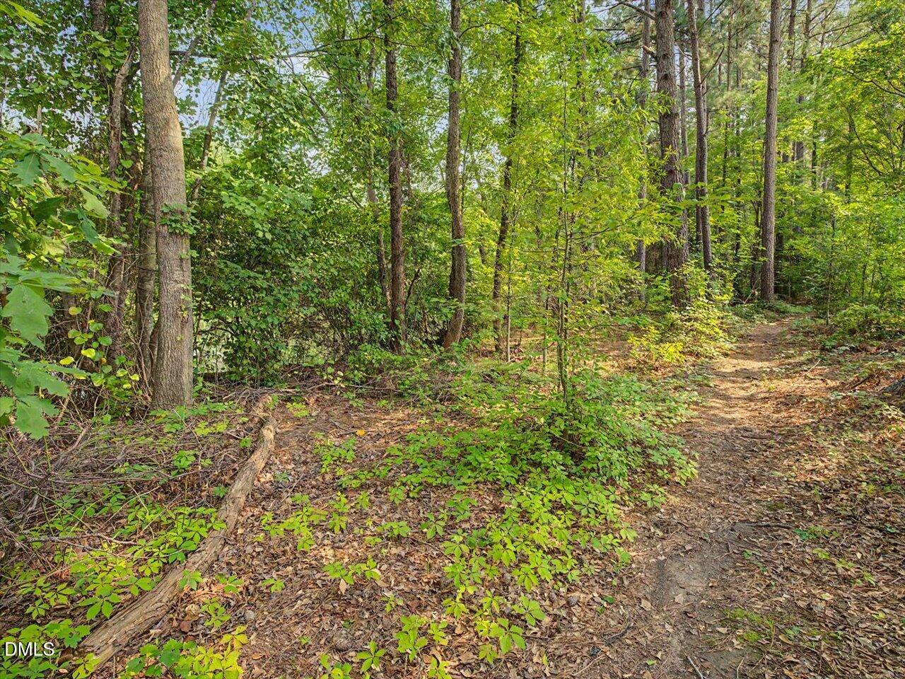 4344 Prairie Creek Trail Raleigh, NC 27616 - Photo 41 of 51 Trail from Backyard to Pond