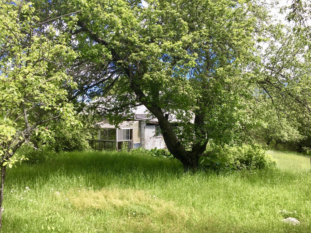 165 Willis Road Gardner, MA 01440 - Photo 8 of 19 Gallery Image 8