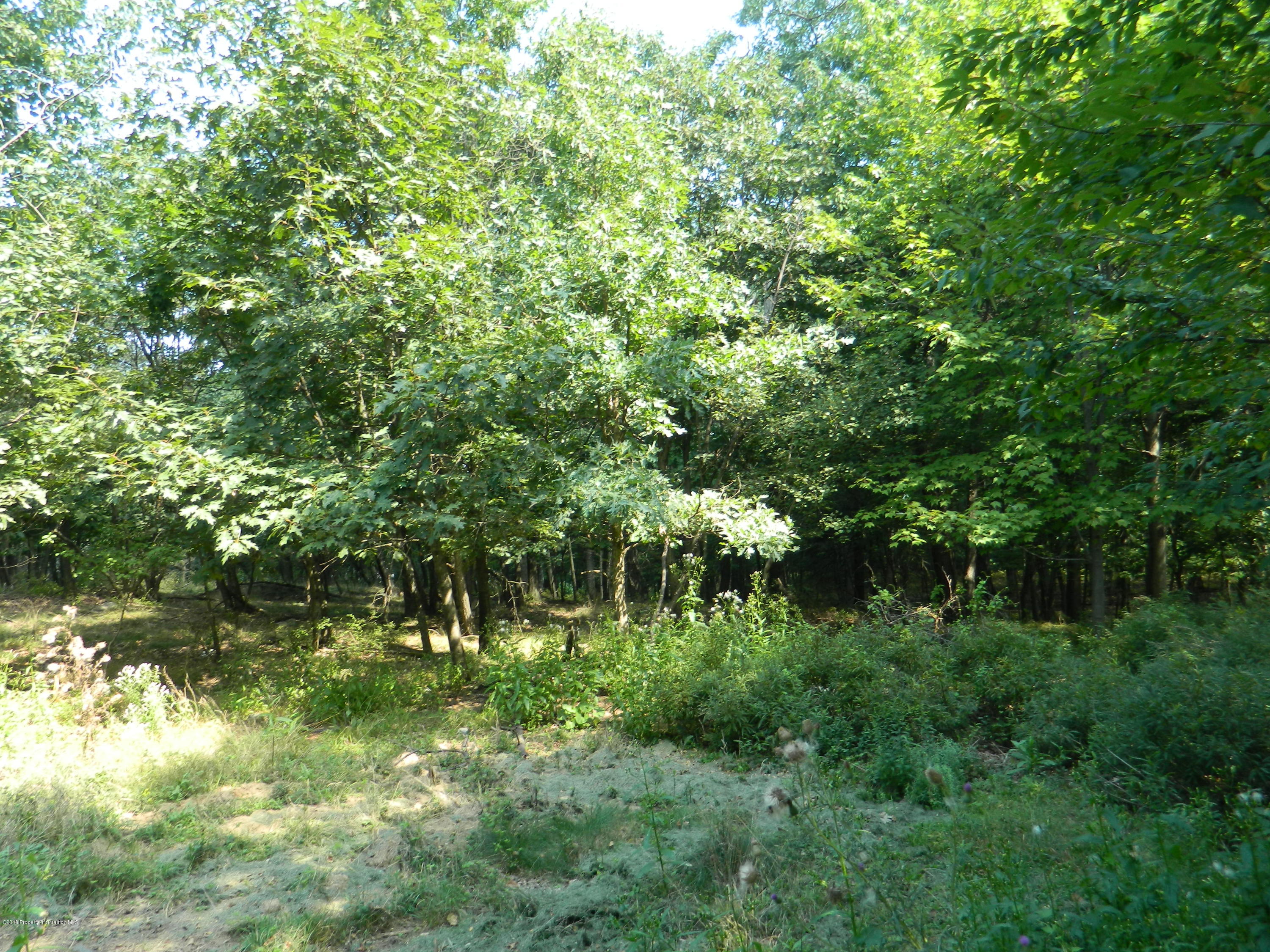 East Mountain Road Scranton, PA 18505 - Photo 3 of 5 DSCN6168
