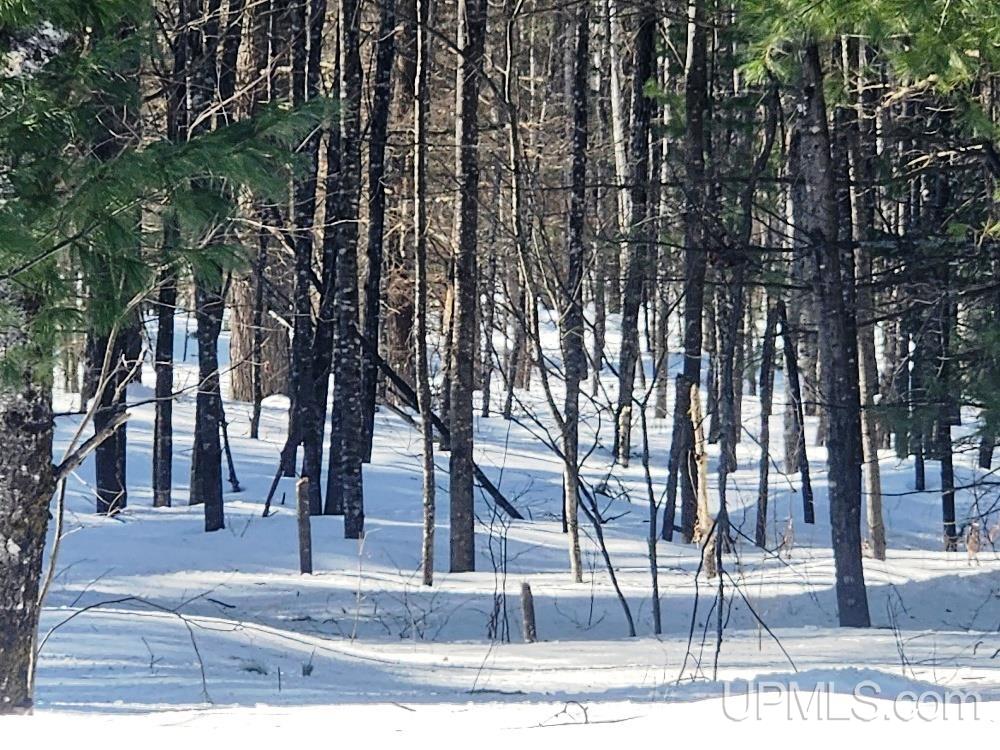 Tbd Oss Road, Unit 40 ACRES Crystal Falls, MI 49920 - Photo 3 of 18 Gallery Image 3