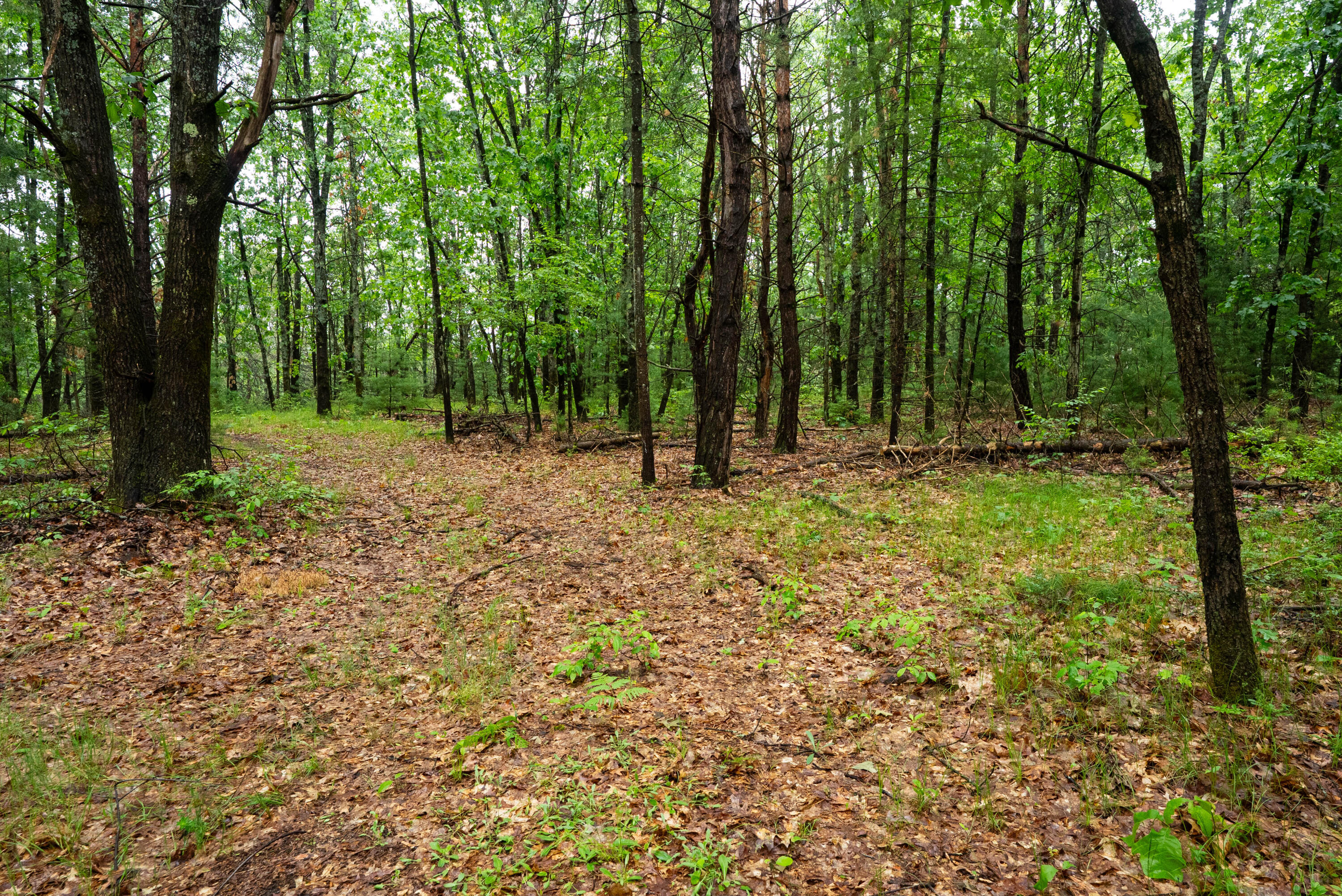 8.09 North A N Centerline Road White Cloud, MI 49349 - Photo 40 of 41 DSC00400