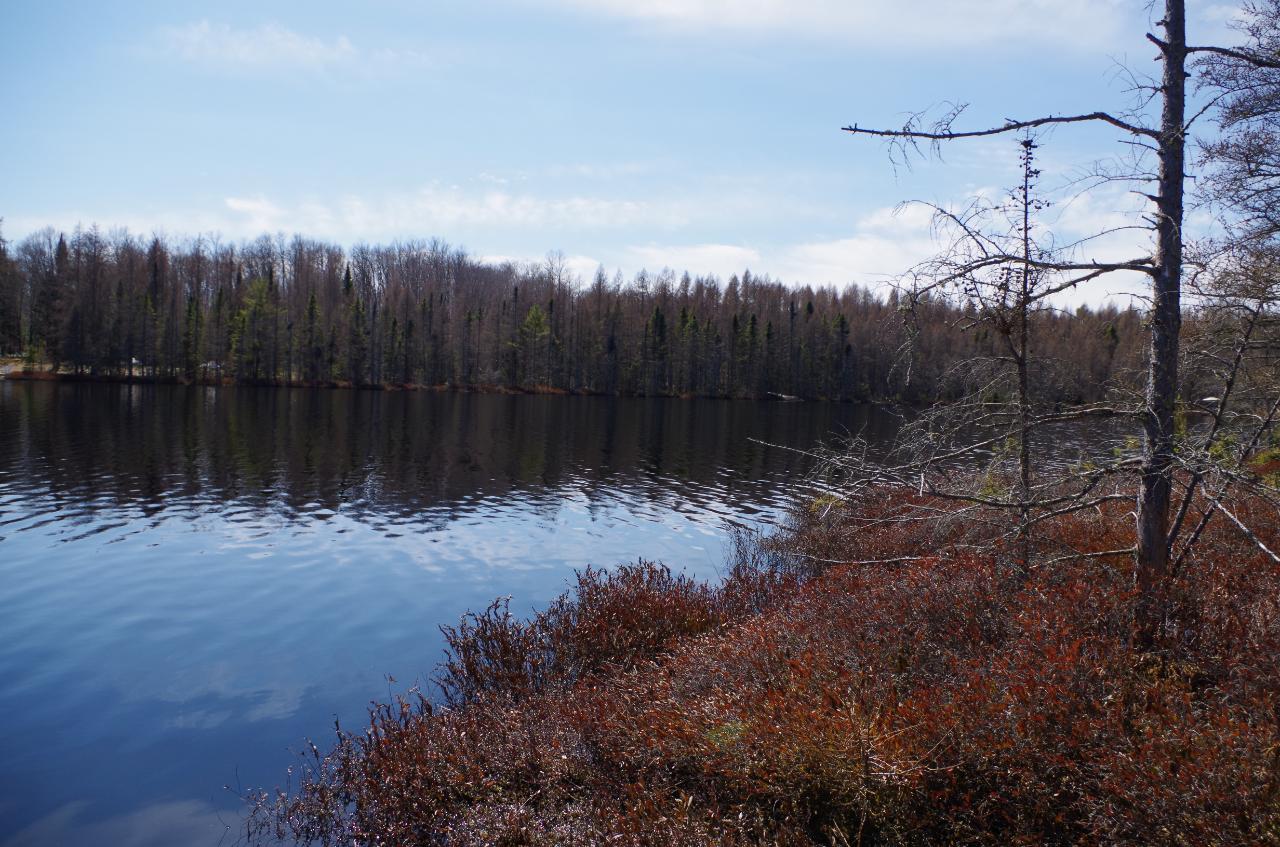 Lot 3 Double Ee Road Park Falls, WI 54552 - Photo 20 of 28 Gallery Image 20