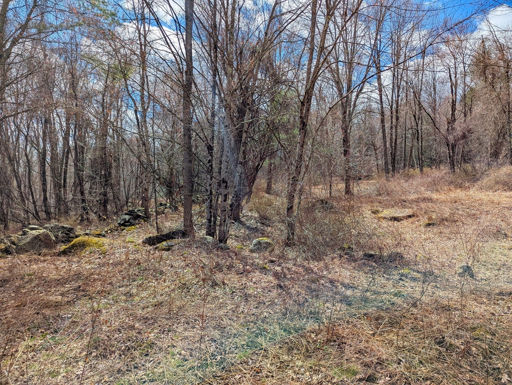 Lot 33.03 William Holmes Road Becket, MA 01223 - Photo 10 of 17 a view of a backyard with large trees