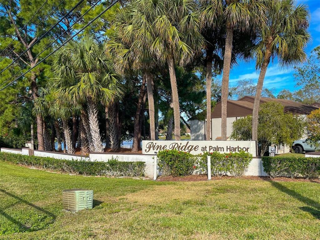2523 Pine Ridge Way South, Unit C2 Palm Harbor, FL 34684 - Photo 26 of 29