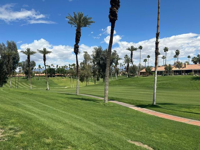 a view of a pathway with plants