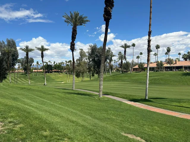 a view of a pathway with plants
