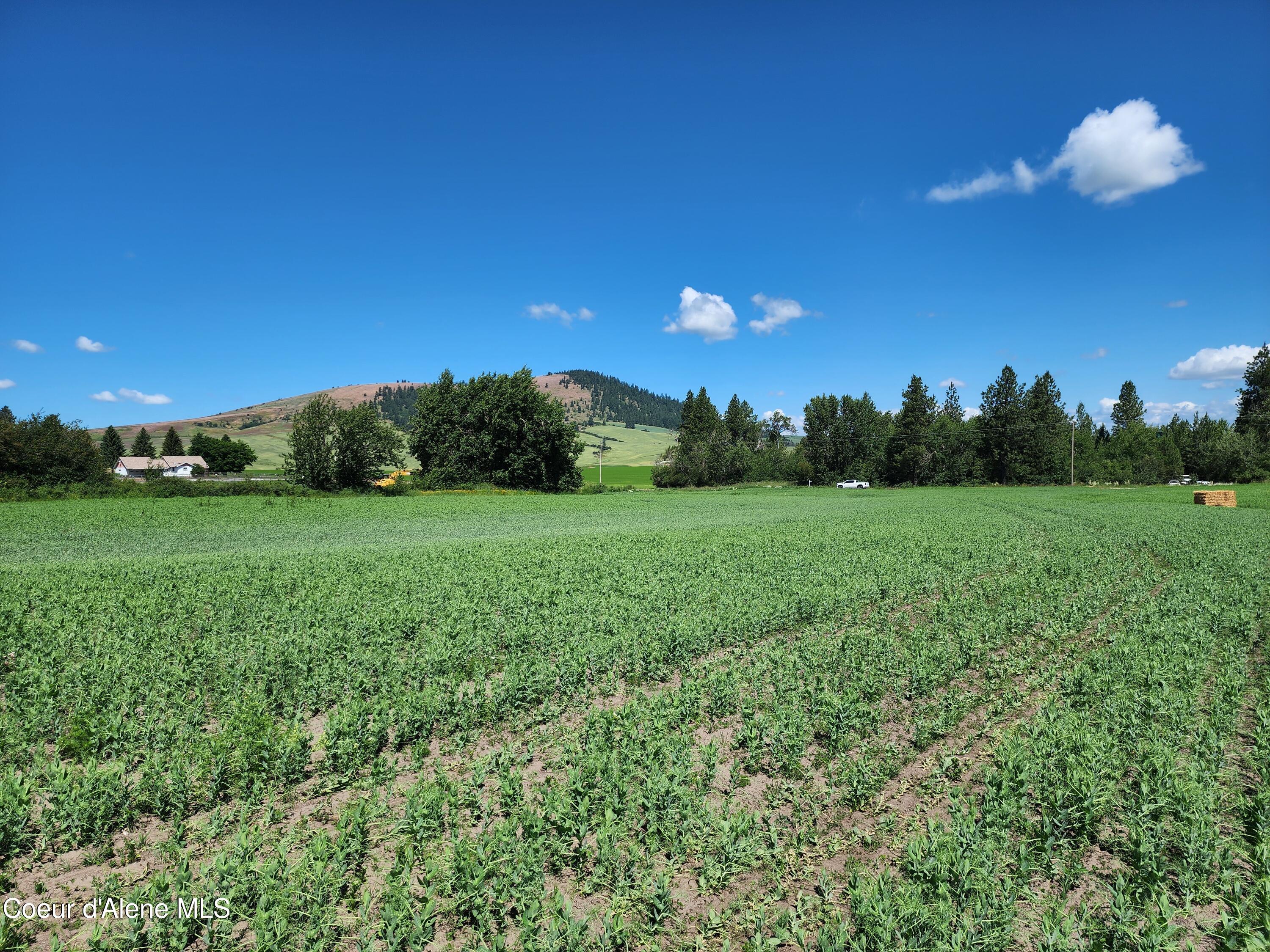 Nkaparcel2 Desmet Road Desmet, ID 83824 - Photo 13 of 45 Desmet Rd