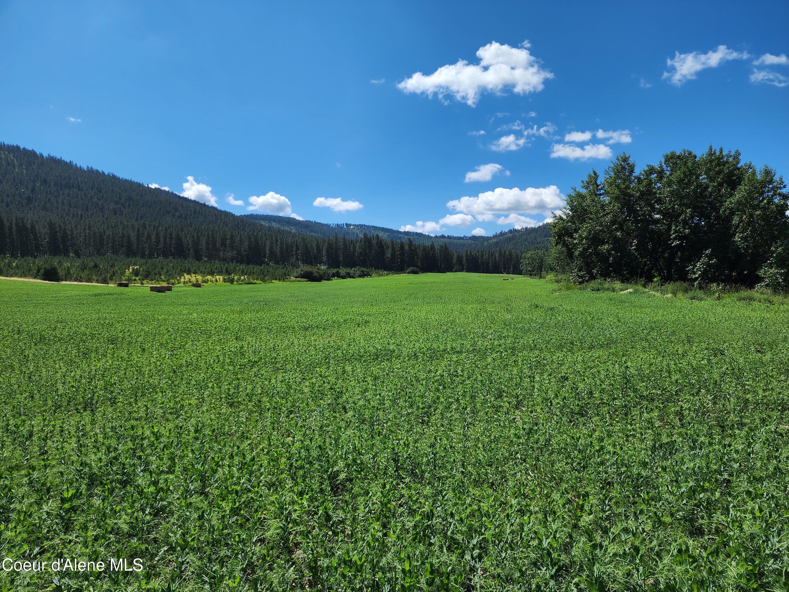 Nkaparcel2 Desmet Road Desmet, ID 83824 - Photo 14 of 45 Desmet Rd