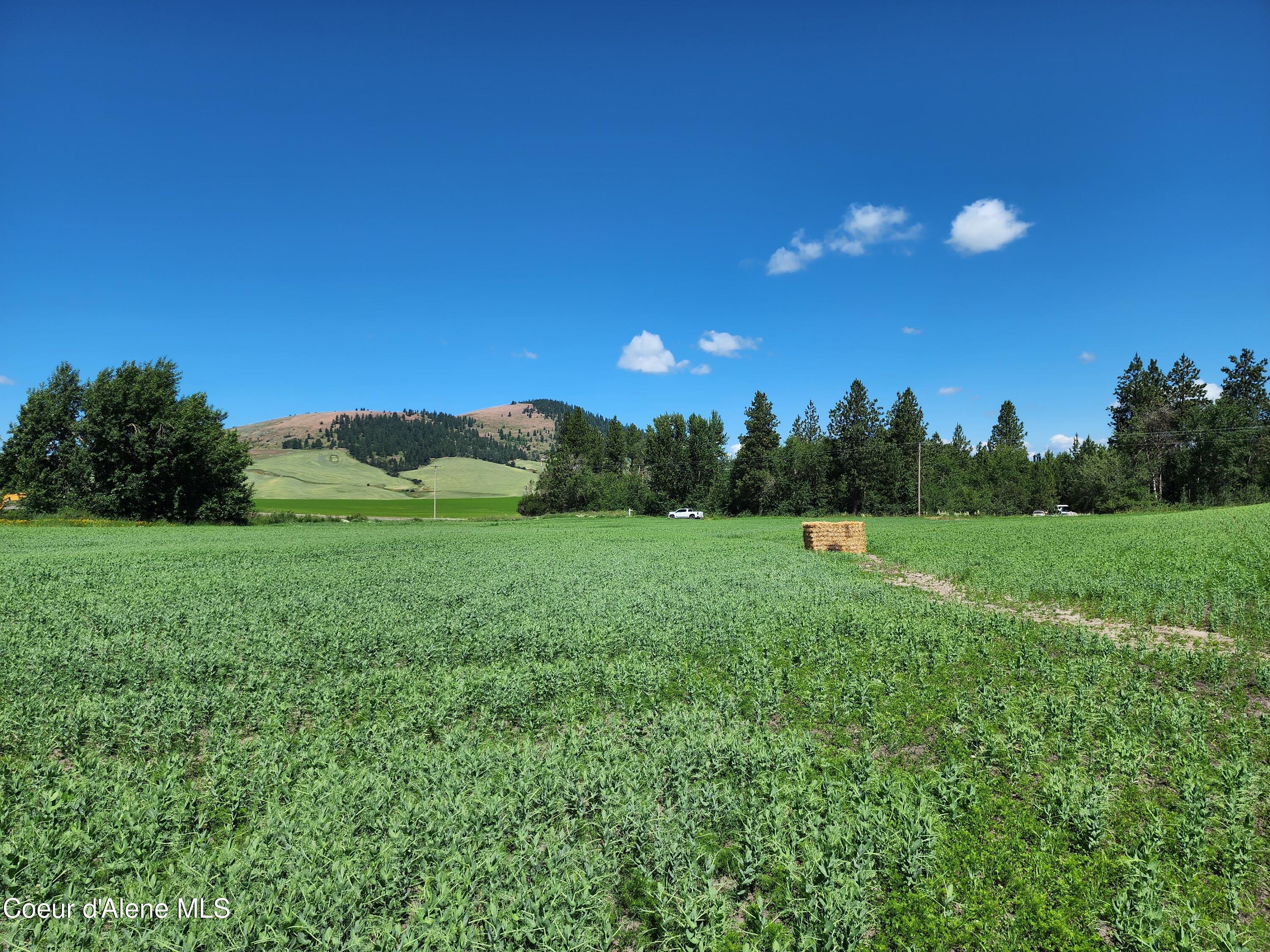 Nkaparcel2 Desmet Road Desmet, ID 83824 - Photo 17 of 45 Desmet Rd