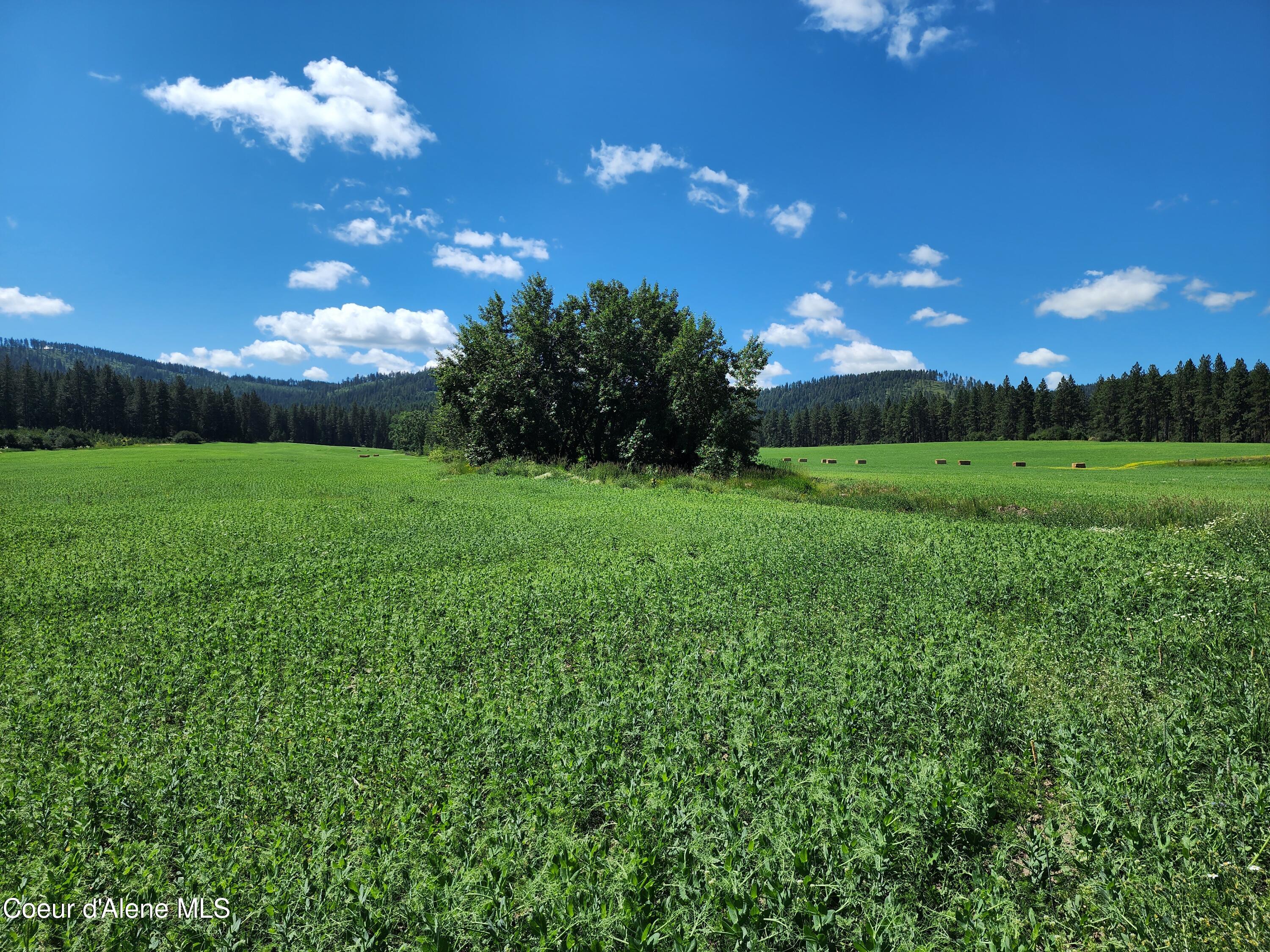 Nkaparcel2 Desmet Road Desmet, ID 83824 - Photo 19 of 45 Desmet Rd